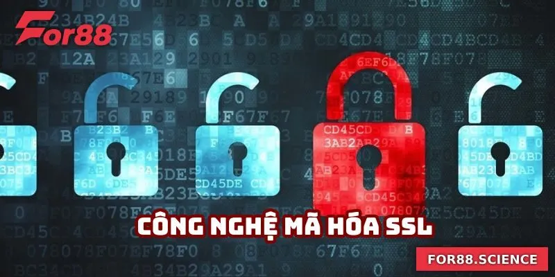 Mã hóa dữ liệu hiện đại theo quyền riêng tư For88