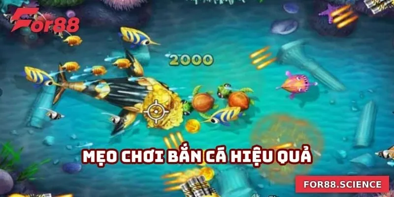 Mẹo Chơi Bắn Cá Thu Về Hàng Tỷ Lợi Nhuận Mỗi Ngày Cho Bạn
